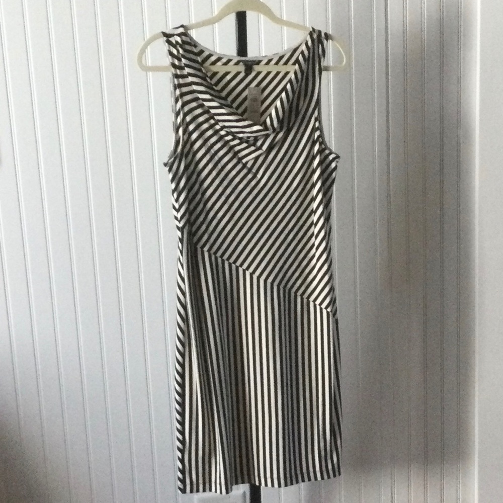 NWT Ann Taylor stylish quality cream/black dress